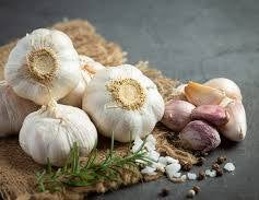 Garlic